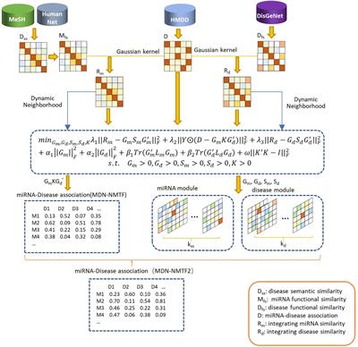 Predicting miRNA-Disease Association Based on Modularity Preserving Heterogeneous Network Embedding